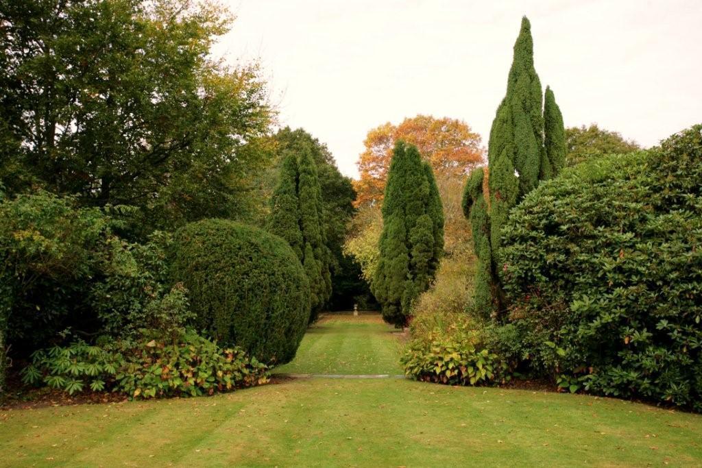 Отель Cisswood House Хоршам Экстерьер фото